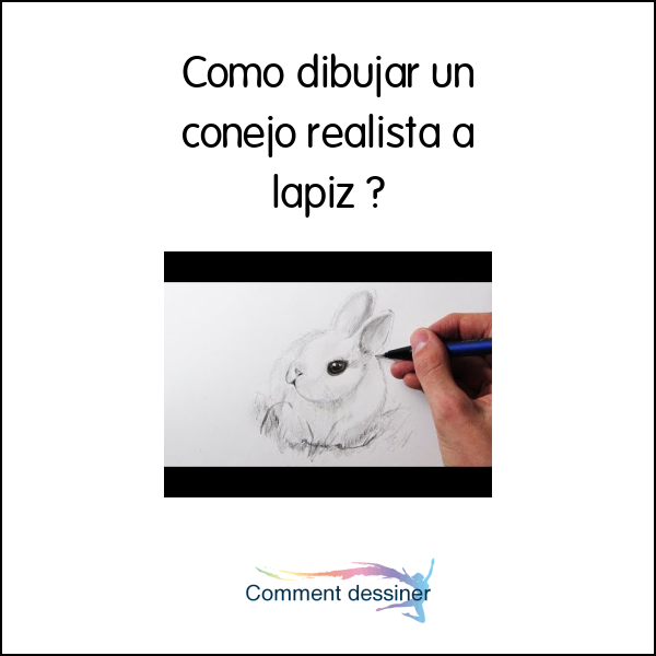 Como dibujar un conejo realista a lapiz